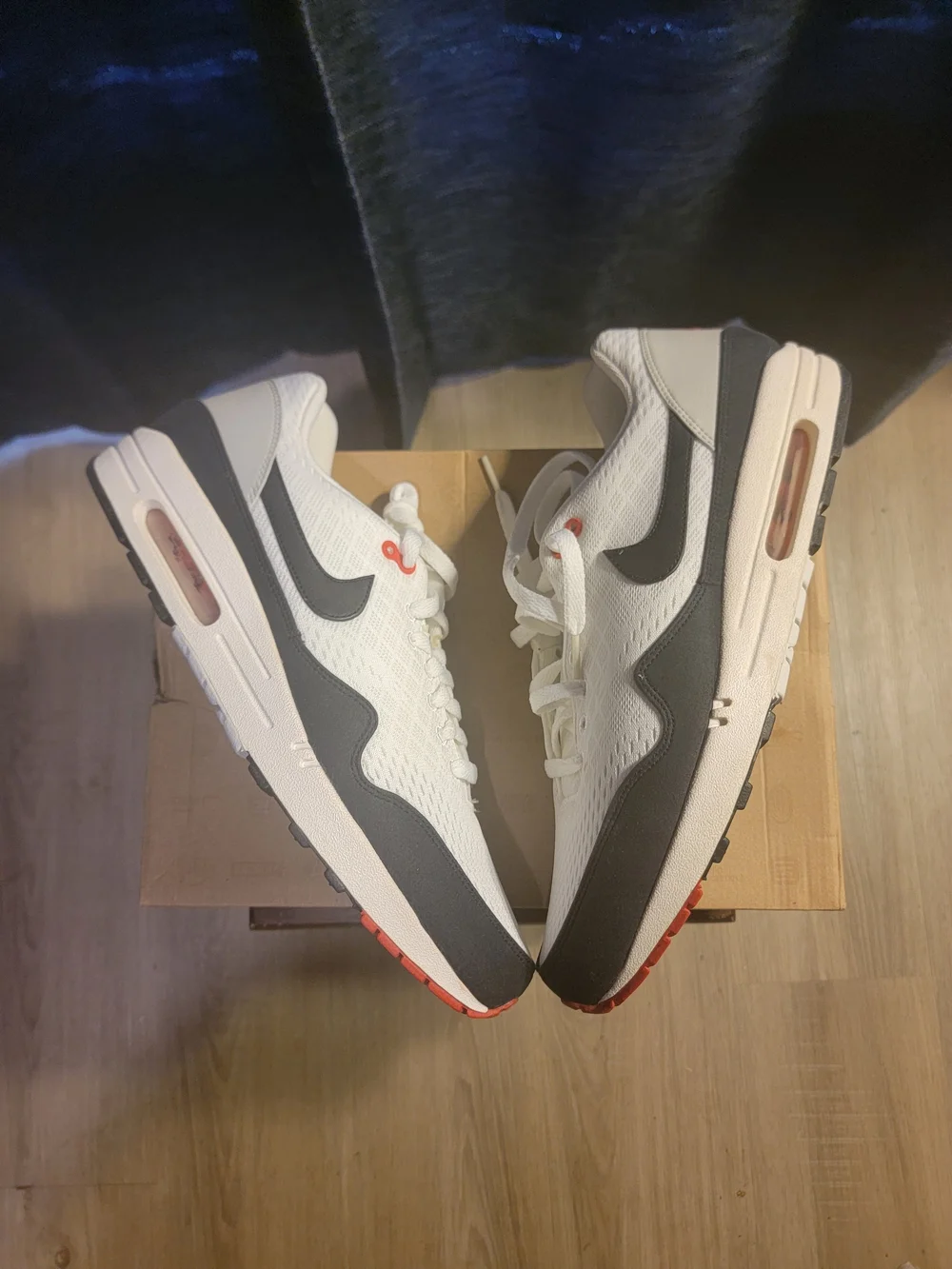 Nike Air Max 1 EM